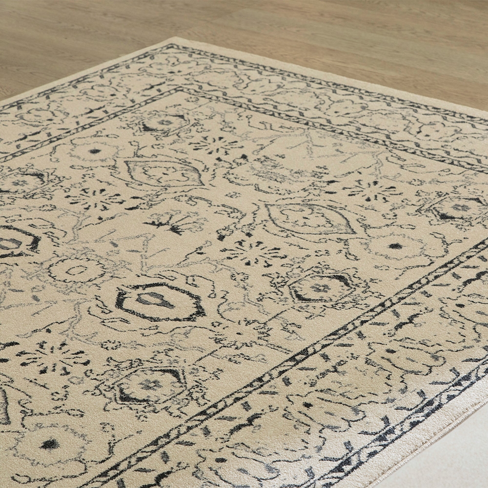 Spain Nobleza Sapien